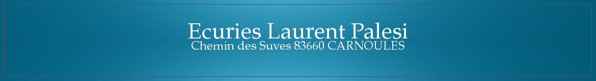 Ecuries Laurent Palesi